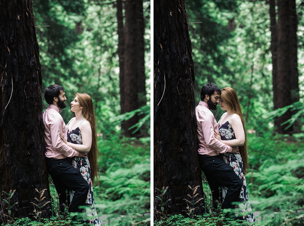 Magical Redwood Engagement Session