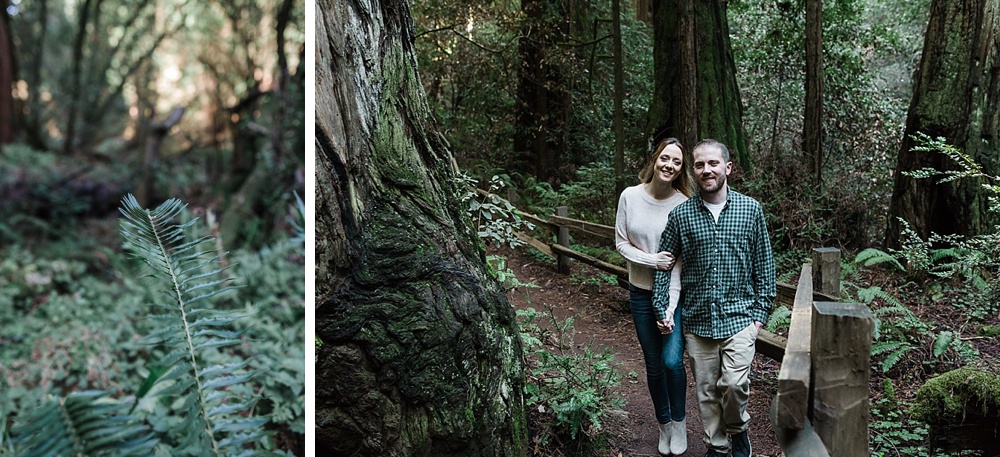 Muir Woods Engagement Session