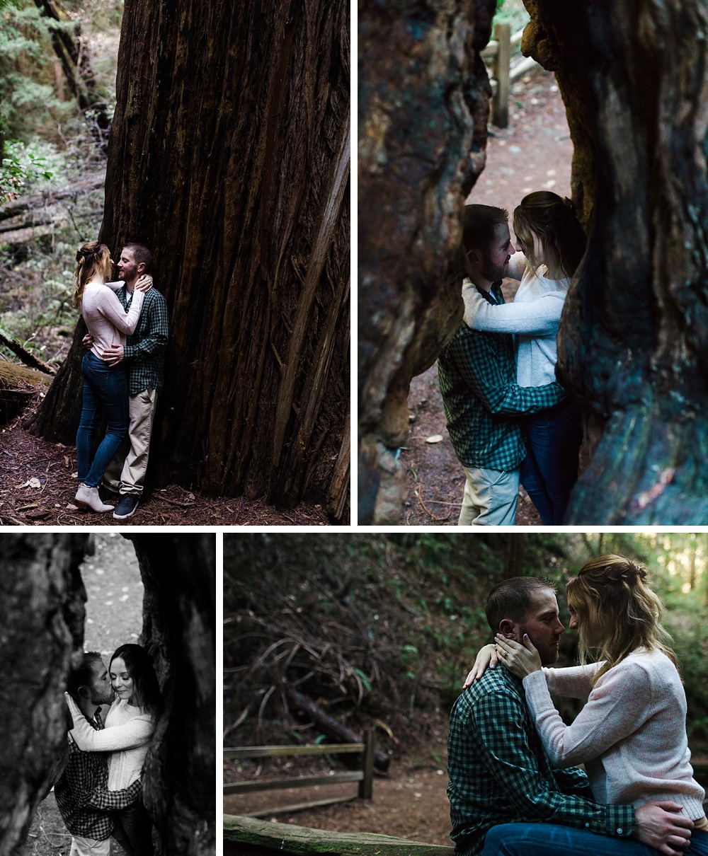 Muir woods engagement photos
