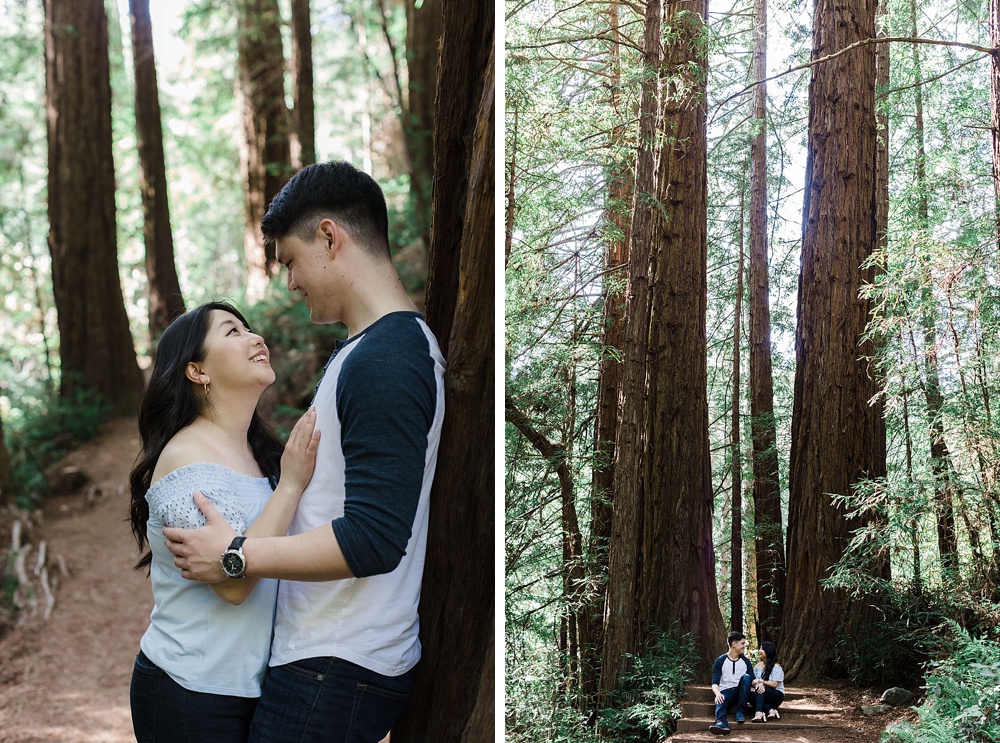 Engagement session in Muir Woods, Marin County