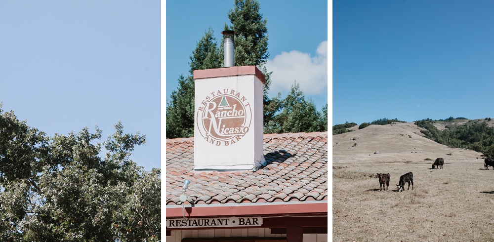 rancho nicasio details for marin county wedding venues blog by amy thompson photography
