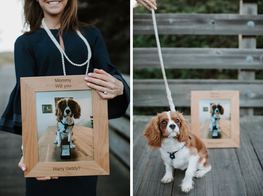 Picture of puppy at Ritz-Carlton Half Moon Bay proposal by amy thompson photography