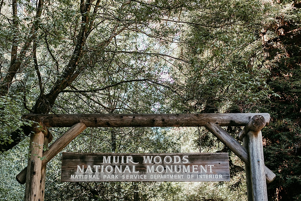 Muir Woods sign for bay area engagement locations blog by amy thompson photography