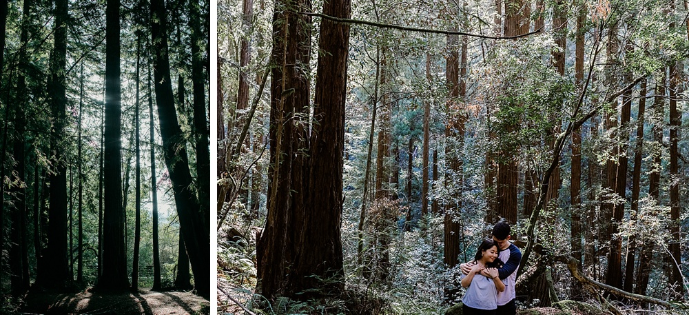 Couple at muir woods for bay area engagement locations by amy thompson photography