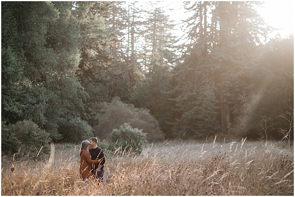 west marin engagement photography in the redwoods