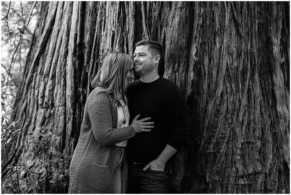 Redwood forest west marin engagement photography