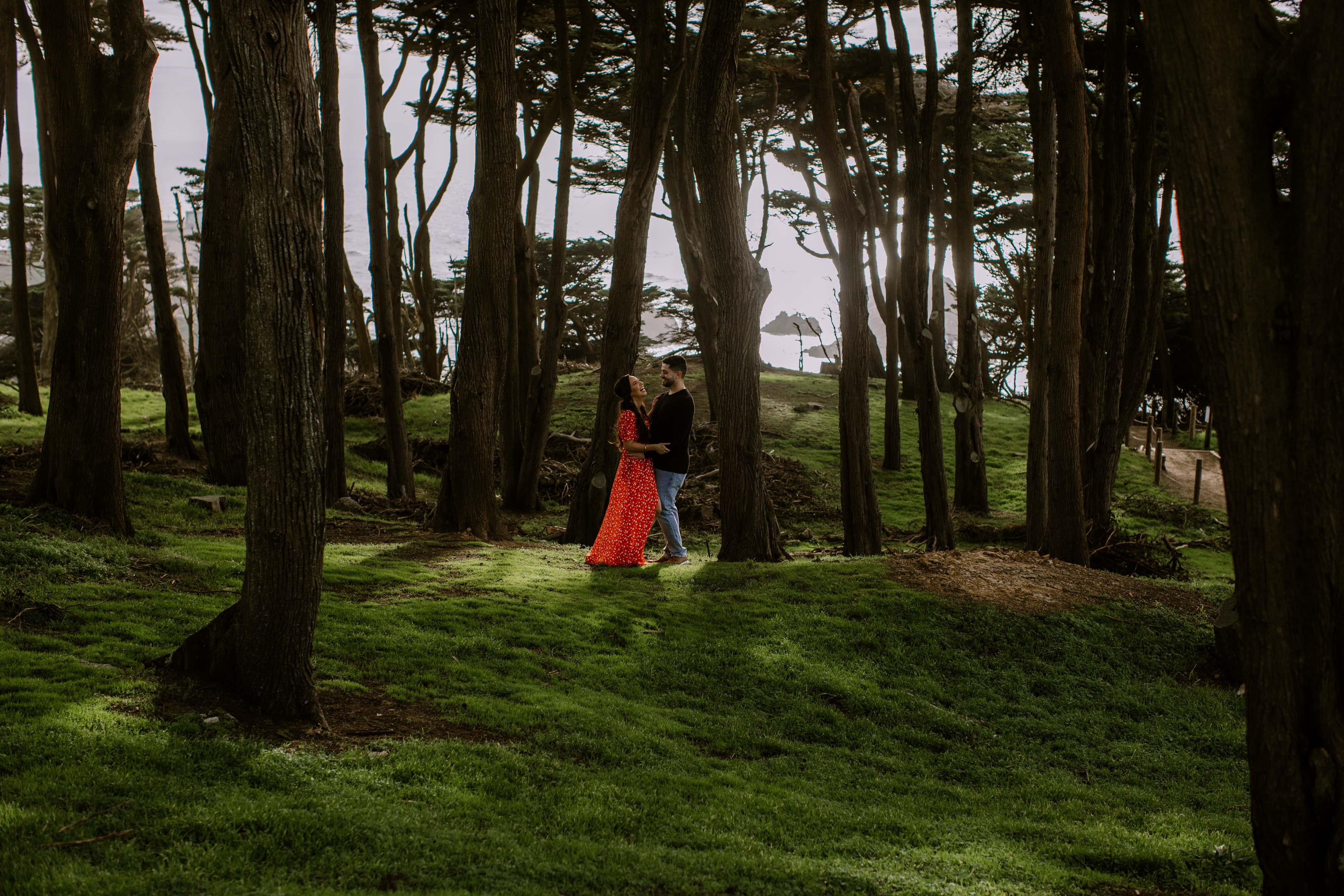 Couple in trees for san francisco engagement location blog by amy thompson photography